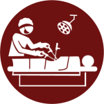 1744781666_Icon 3.png